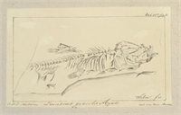 03\617a58-ce44-4541-b173-82115d94be06.jpg