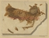 03\ae097f-bf2b-4a9e-9be0-23171a4558b2.jpg