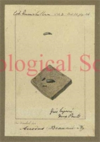 04\a5e834-0f82-4771-8b5a-0d83e55809a8.jpg