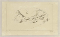 07\96e9bb-db43-4645-b3ce-b9c90a7987bc.jpg