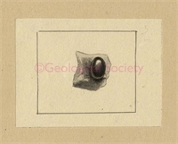 0a\018546-ac83-4f4d-a01d-b07e72532da3.jpg