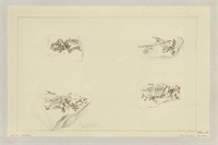 0f\67e969-5f64-4534-b28e-7fbbe02eefb0.jpg