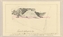 0f\e65943-7e73-497b-bd22-573e54d16b45.jpg