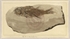 13\1654ac-0dcb-4acb-bb84-511e0efc4ac2.jpg