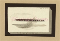 14\f29b29-6ca4-41dc-abc9-abf3b4793fdf.jpg