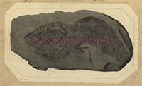 1b\8471f1-ada5-48e1-9fb2-d4beef069e38.jpg