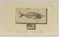 1c\e15893-ecbb-4080-8f32-b0a62cab0a7e.jpg