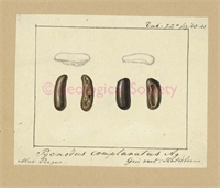1e\4fc60a-ec41-40d7-b10b-22c563e08ce2.jpg