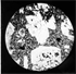 24\7c9cc6-7dee-4be0-9964-81a4995a0a55.jpg