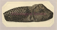 26\89ce87-0af3-4456-8978-d05450fa51fe.jpg