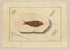 28\beeb0b-54ae-40b0-a944-36a814bc48d8.jpg