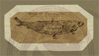 2e\d5b093-dca4-41b3-a417-ee3497738104.jpg
