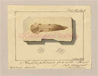 33\e95c0d-6a36-46f0-9847-bfda47a28ca7.jpg