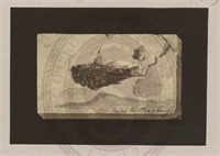 34\9c2bce-1df6-4d19-9539-e5a1798115fc.jpg