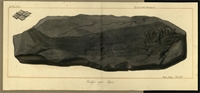 34\f0dd8d-f60a-4b09-ac3c-29f2fd15882d.jpg