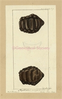 3c\02c0ab-c302-4992-b0ec-d7b84ea96976.jpg