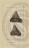 3d\99e965-2921-4c8d-baa4-002eff23c0ce.jpg