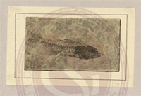 4c\3d66a3-b2aa-4533-8619-3b84a1a43b8a.jpg