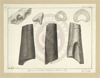 4e\a45236-6990-4246-a583-185fda3a6db2.jpg