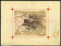4f\beeff8-86ec-455e-bd6a-8ae1e3cdcb9d.jpg