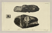 55\46ed94-ad92-413f-b0e6-a5e2d77a7e64.jpg
