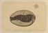 56\e45c61-4cfb-46cb-a477-1f0c023270fb.jpg
