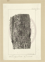 59\e45f3d-b1ec-478d-ae68-f34b9687ab52.jpg