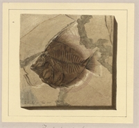 63\8180b7-cfa9-4db0-b8be-c128f655d2e6.jpg