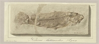 64\a21aea-acf1-4d1f-a856-175724574de8.jpg