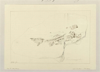 66\7cf580-bc91-401c-891f-267711e1e2c6.jpg