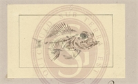 66\990919-fc23-4b09-9590-96e52ba06dca.jpg