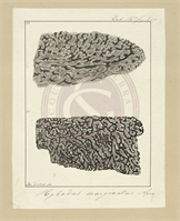 67\175ae8-bc1e-41e9-8906-1eaf7da0e80f.jpg