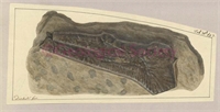 67\cde29b-508f-4eba-b48f-9cff2e97067b.jpg