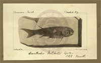 69\a10b4b-a192-49cb-902c-2fecdb944ee2.jpg