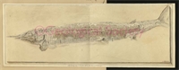 6d\0526ce-e417-4ba8-948f-eda19922e33e.jpg