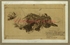 74\83df44-7fd4-4e47-9711-a94bed574728.jpg
