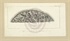 80\8720e2-da1d-49d4-8740-e092cd653395.jpg