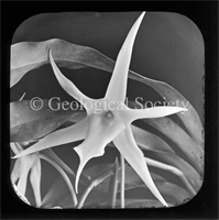 90\40406d-1456-4bc9-9ace-fa6fd81e28f7.jpg