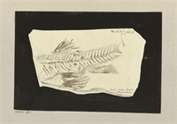 92\70abbe-725c-4df6-8558-57662dc814da.jpg