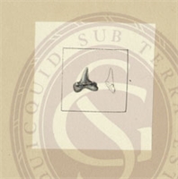 92\8928ef-038f-401b-b26b-366bcc9cdb1a.jpg