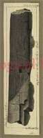 96\679d3c-faa4-4821-850a-f36ca9b7fed2.jpg