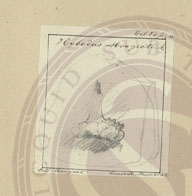 96\9fde1c-9f09-4af2-bdf5-44ec477492f6.jpg