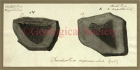 99\de508e-89d3-425b-b949-aa947205dd96.jpg