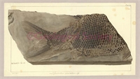 a0\9be5c3-436c-4171-87a1-69132aac091c.jpg