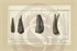 a0\ae01a4-0b85-45a6-bb32-91431ca95d5b.jpg