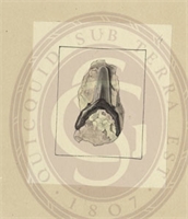 a0\e139cc-a265-435a-9661-6af7848bf578.jpg