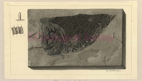 a1\693b58-1ab4-4be0-8a22-b26b755701ac.jpg