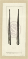 a1\c4de72-c412-4b48-ad08-b46d0e7802cb.jpg
