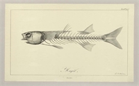 a5\13ee93-06e9-45b5-98e3-0c5f1353c493.jpg