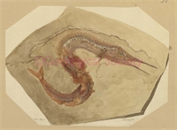 a6\4610c1-8ab1-46ff-b2f5-6d3e779f5047.jpg